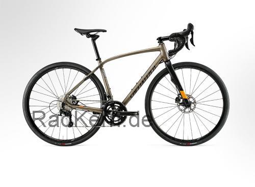 Specialized Diverge Elite Smartweld technische daten 